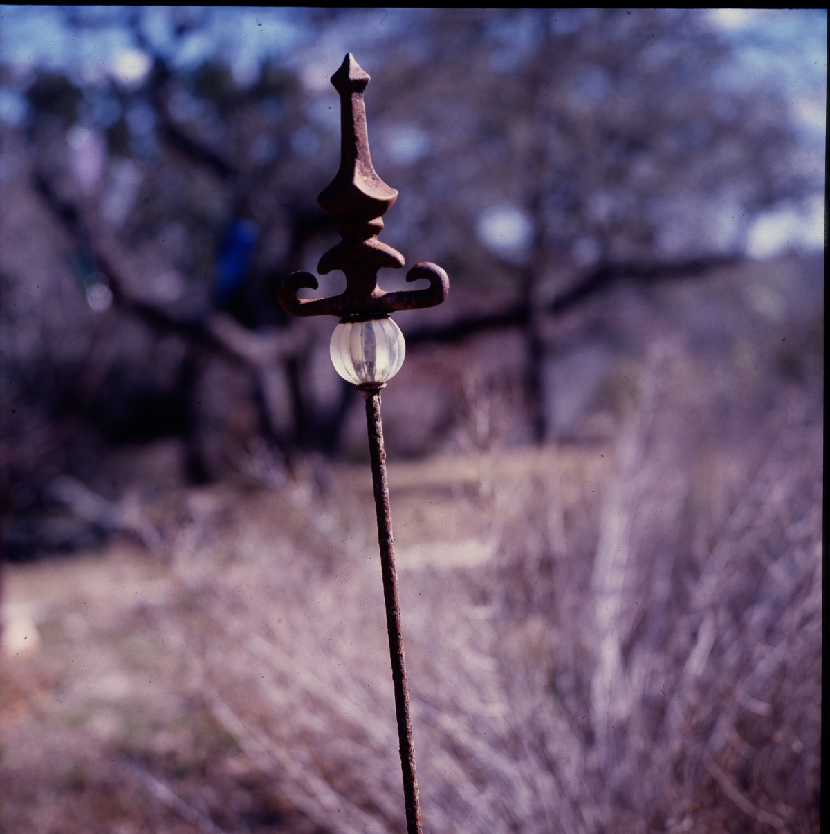 Shooting Square with the Rolleiflex&nbsp;2.8