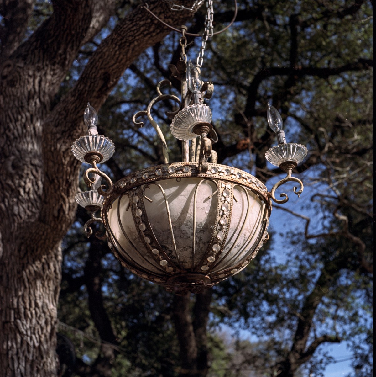 Expired Kodak Portra 160NC + Rolleicord&nbsp;Vb